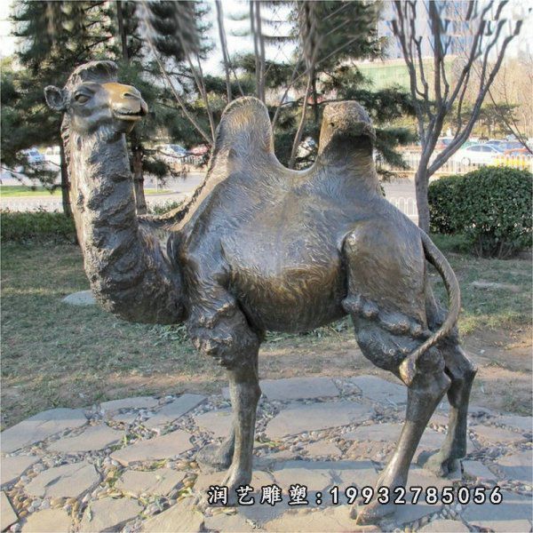 学校动物骆驼铜雕