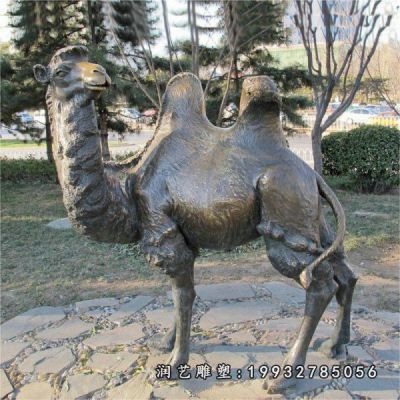 学校动物骆驼铜雕