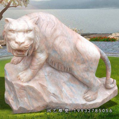 学校动物老虎石雕
