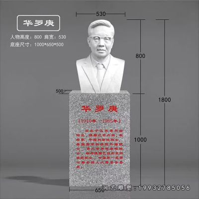 公园华罗庚人物石雕